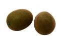 Fruct kiwi decorativ 6.4x4.9cm 6688-BF