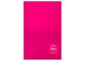 Caiet B5 60foi Herlitz (coperta plastic/color) 9564972