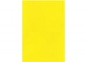 Fetru 20x30cm 180 gr/m2 Galben MX61622-05