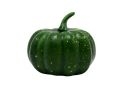 Leguma dovlecel decorativ mic verde 8x7cm 8367L