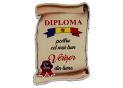 Ecuson placaj (Diploma) 222055