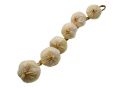 Leguma usturoi legat decorativ alb 42cm 8762L