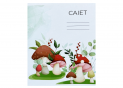Caiet 12foi carton linie ingusta C002517