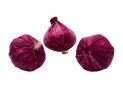 Leguma usturoi decorativ rosu 6.5x5.5cm 8225CL