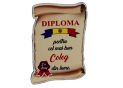 Ecuson placaj (Diploma) 222055
