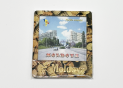 Suvenir MOLDOVA magnet(5)pluta MD0050