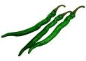 Leguma ardei iute decorativ verde 28cm 8726