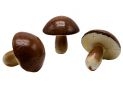 Leguma ciuperca decorativa bruna 8.5x8cm 8390PL