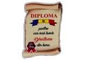 Ecuson placaj (Diploma) 222055