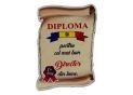 Ecuson placaj (Diploma) 222055