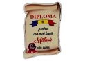 Ecuson placaj (Diploma) 222055