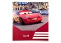 Caiet 12foi carton patratele C001312