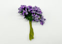Crenguta-flori muguri 97CAN12-5 (S/12)004800/005747 AP005747/4800