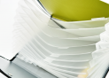 Mapa plastic A4 (12sectii) (ML16-18) MG8811