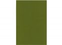 Fetru 20x30cm 180 gr/m2 Verde Olive MX61622-26