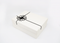Cutie p/u cadou (219.00) CM1751-1