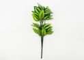 Flori decorative (frunze)11609 VM11609