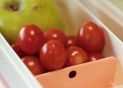 Lunch Box Milan 0.75L Green 085110GR