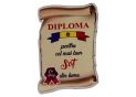Ecuson placaj (Diploma) 222055