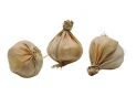 Leguma usturoi decorativ alb 1 buc 8758