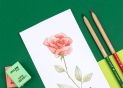 Pensula rezervor de apa+5 creioane color solubile in apa BWM10401