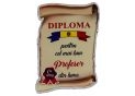 Ecuson placaj (Diploma) 222055