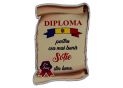 Ecuson placaj (Diploma) 222055