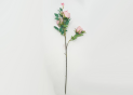 Flori decorative (crenguta trandafir) 20111187