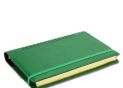 Agenda nedatata A5 de lux Cometa cu elastic Verde CAG2129V