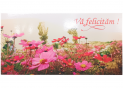 Felicitare mix (diverse ocazii) C000896