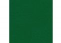 Fetru 20x30cm 180 gr/m2 Verde intens MX61622-49