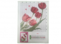 Broderie set (cu desen+ata) 00043