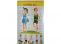 Plansa.Cartea Rosie a Republicii Moldova+Corpul uman 70x100cm EP6