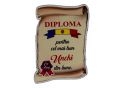 Ecuson placaj (Diploma) 222055