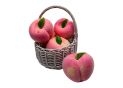 Fruct piersic decorativ roz pal ascutit 11x10.5cm N36-2F