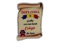 Ecuson placaj (Diploma) 222055