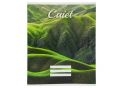 Caiet 48foi carton dictanto C001220