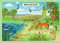Plansa.Lumea din jurul meu+Medii de viata 70x100cm EP12