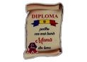 Ecuson placaj (Diploma) 222055