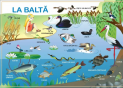 Plansa.La balta+La ferma 70x100cm EP4