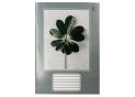 Caiet 24foi Euro/carton dictando C001503