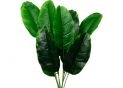 Planta artificiala decorativa 65cm verde FY-y1015