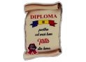 Ecuson placaj (Diploma) 222055