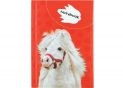 Carnet A6 80foi Wild Spirit (coperta tare) CF21201