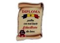 Ecuson placaj (Diploma) 222055