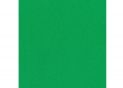 Hirtie gumata 20x30cm 2mm.Verde MX61619-04