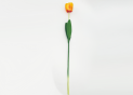 Flori decorative (lalele) VM11809