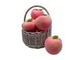 Fruct piersic decorativ roz pal rotund 10x8.8cm N33-3BF