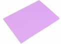 Caiet A4 80foi spira laterala plastic Pastel E20310