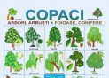 Plansa.Copaci+Flori 70x100cm EP18